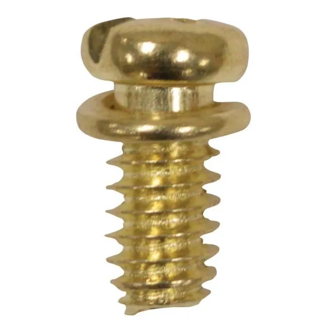 10-Piece Motor Screw Kit, Polished Brass Finish