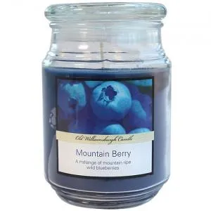 18oz Gardenia Candle