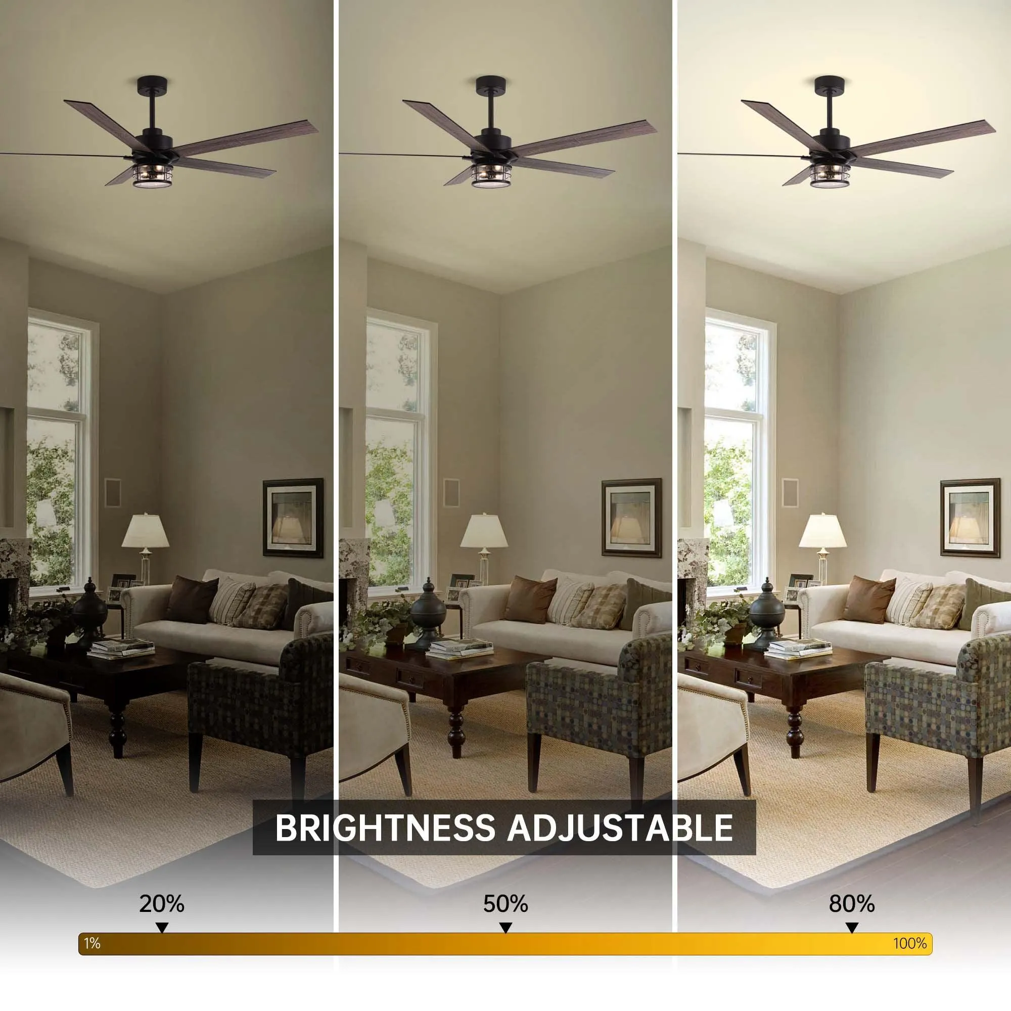 65" Modern Reversible Ceiling Fan with Lighting and Remote Control