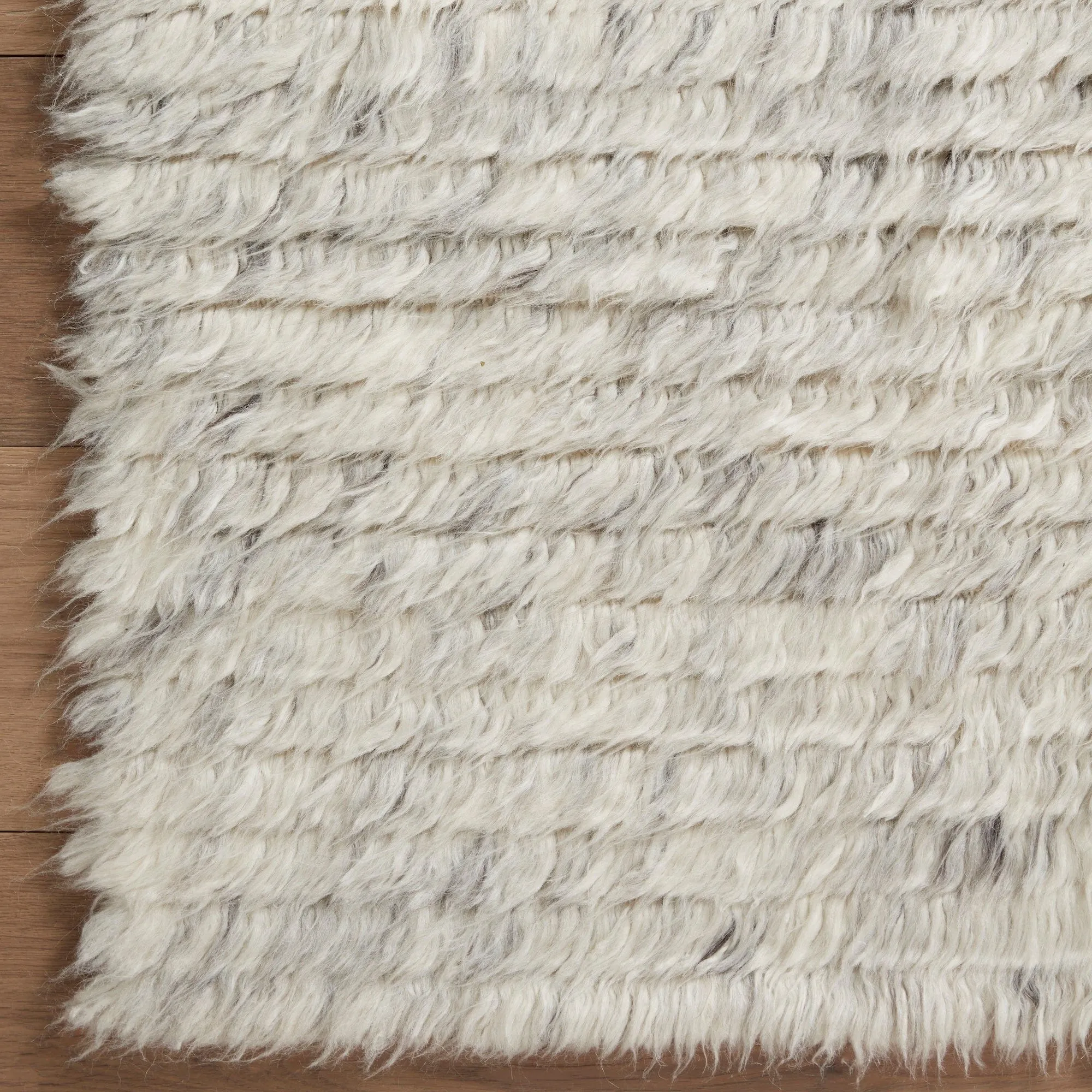 Amber Lewis x Loloi Woodland Rug