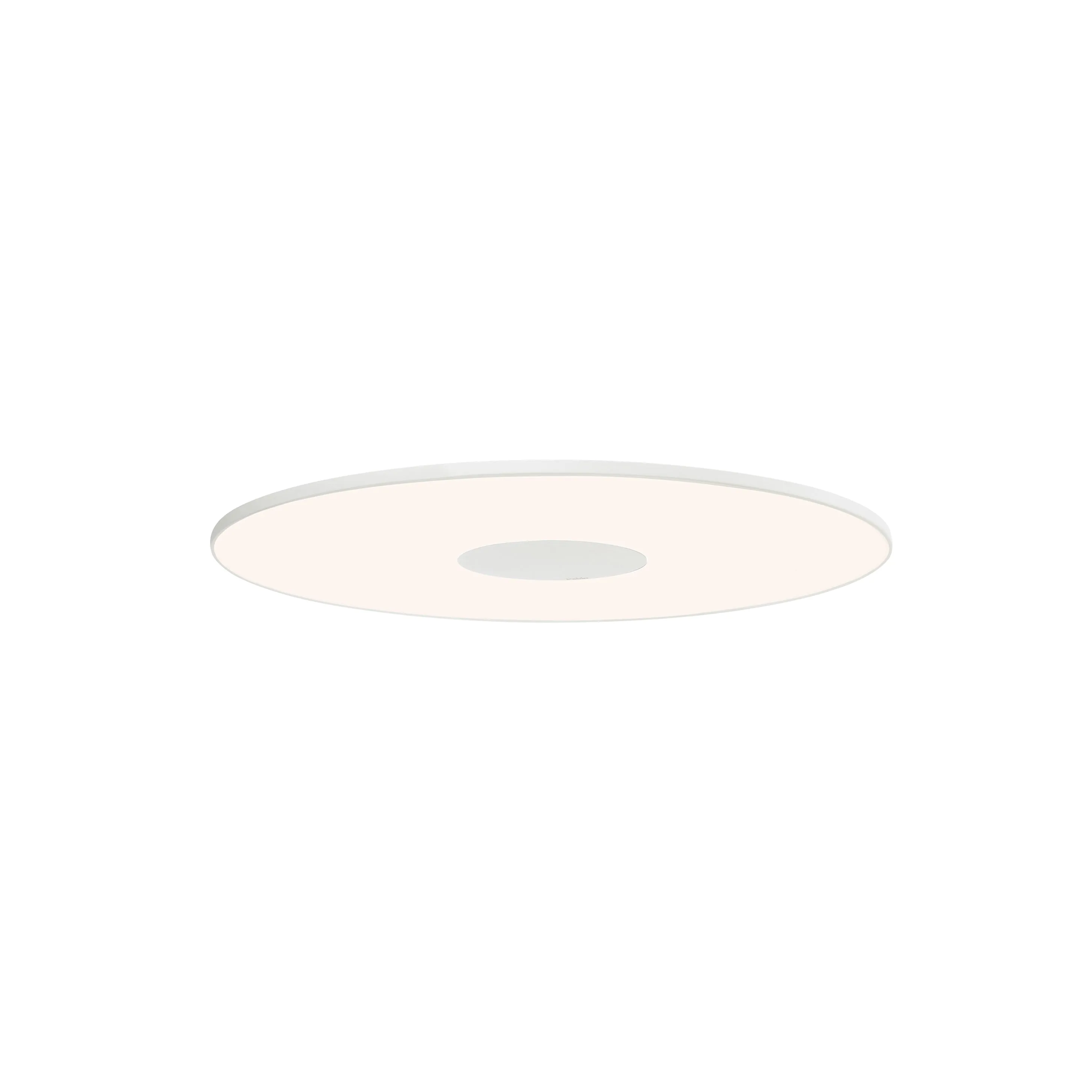 Circa Flush Wall/Ceiling Light