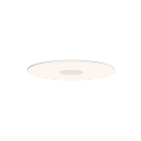 Circa Flush Wall/Ceiling Light