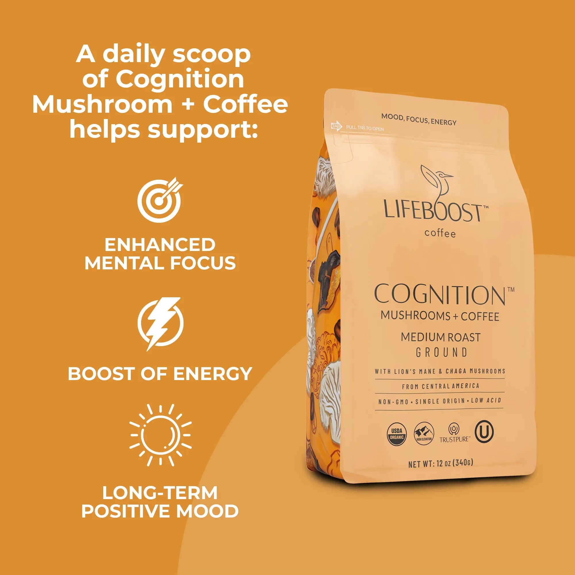 Cognition Mushroom Subscription