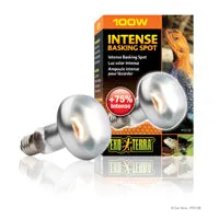 Exo Terra Intense Basking Spot Lamp 100W