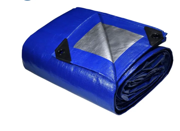 Heavy Duty Reversible Blue and Silver Tarp, 2 Pack