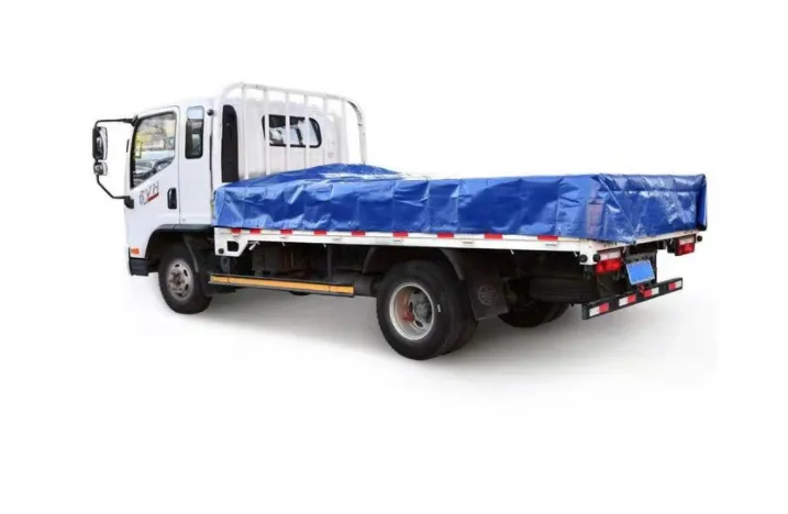 Heavy Duty Reversible Blue and Silver Tarp, 2 Pack