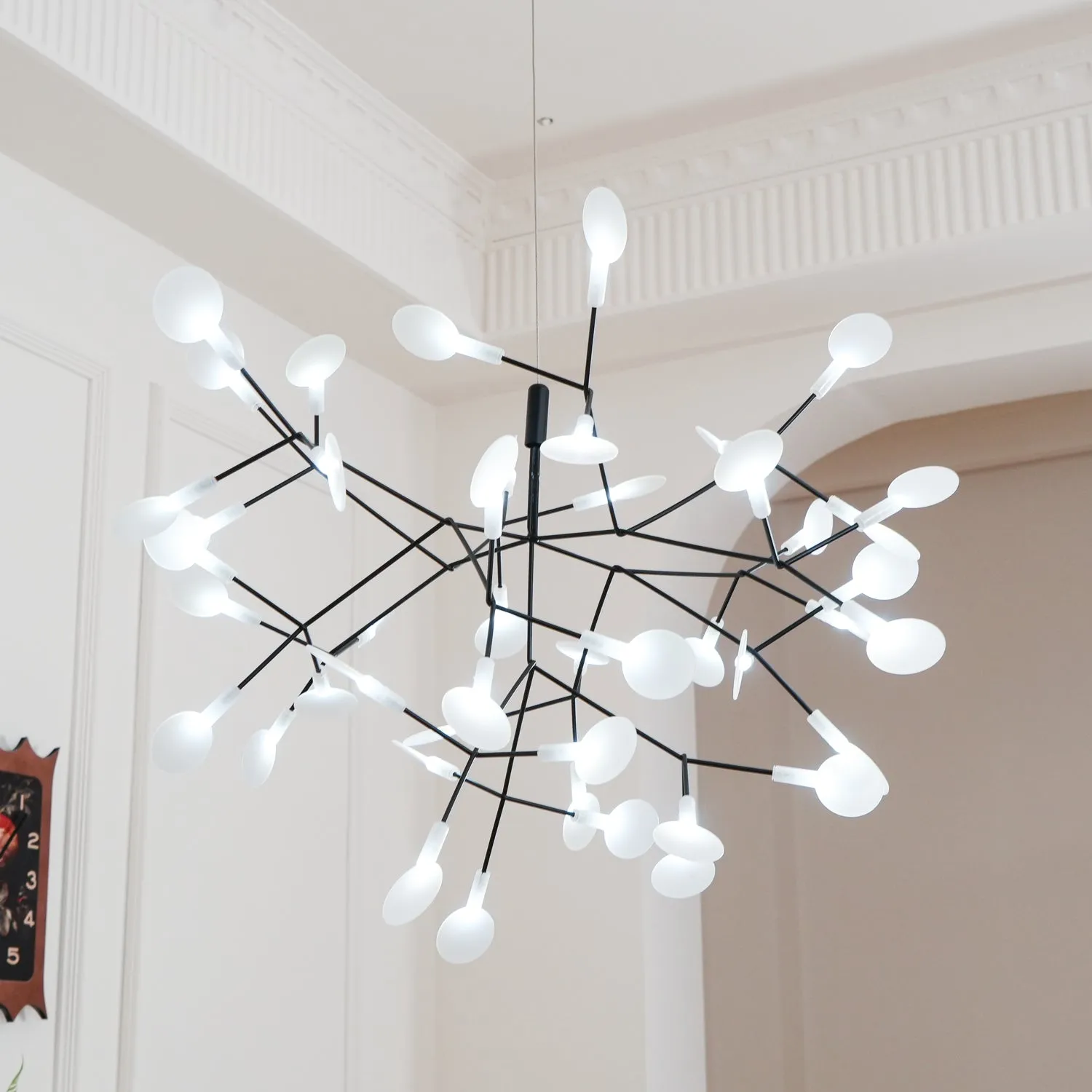 Heracleum Black Chandeliers