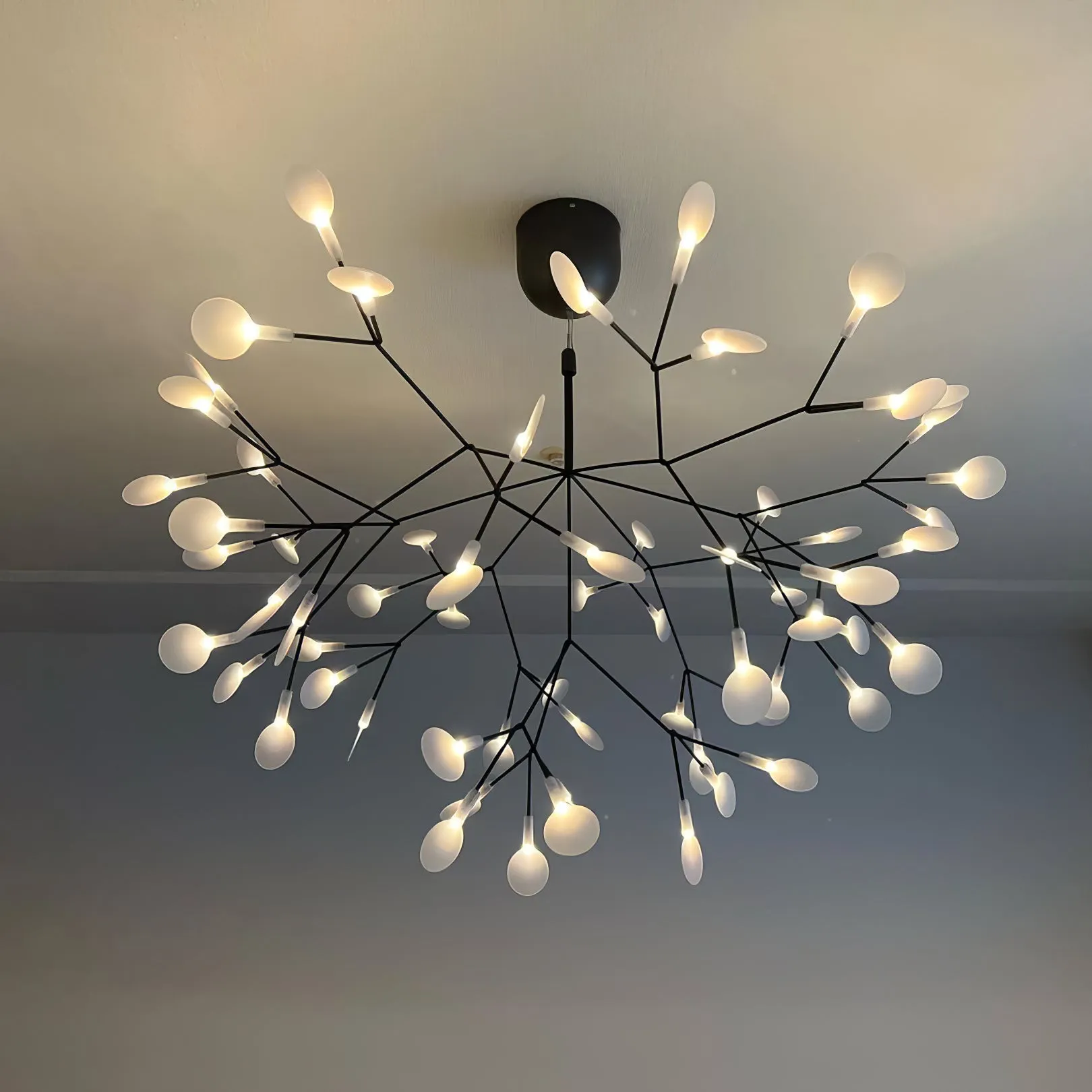 Heracleum Black Chandeliers