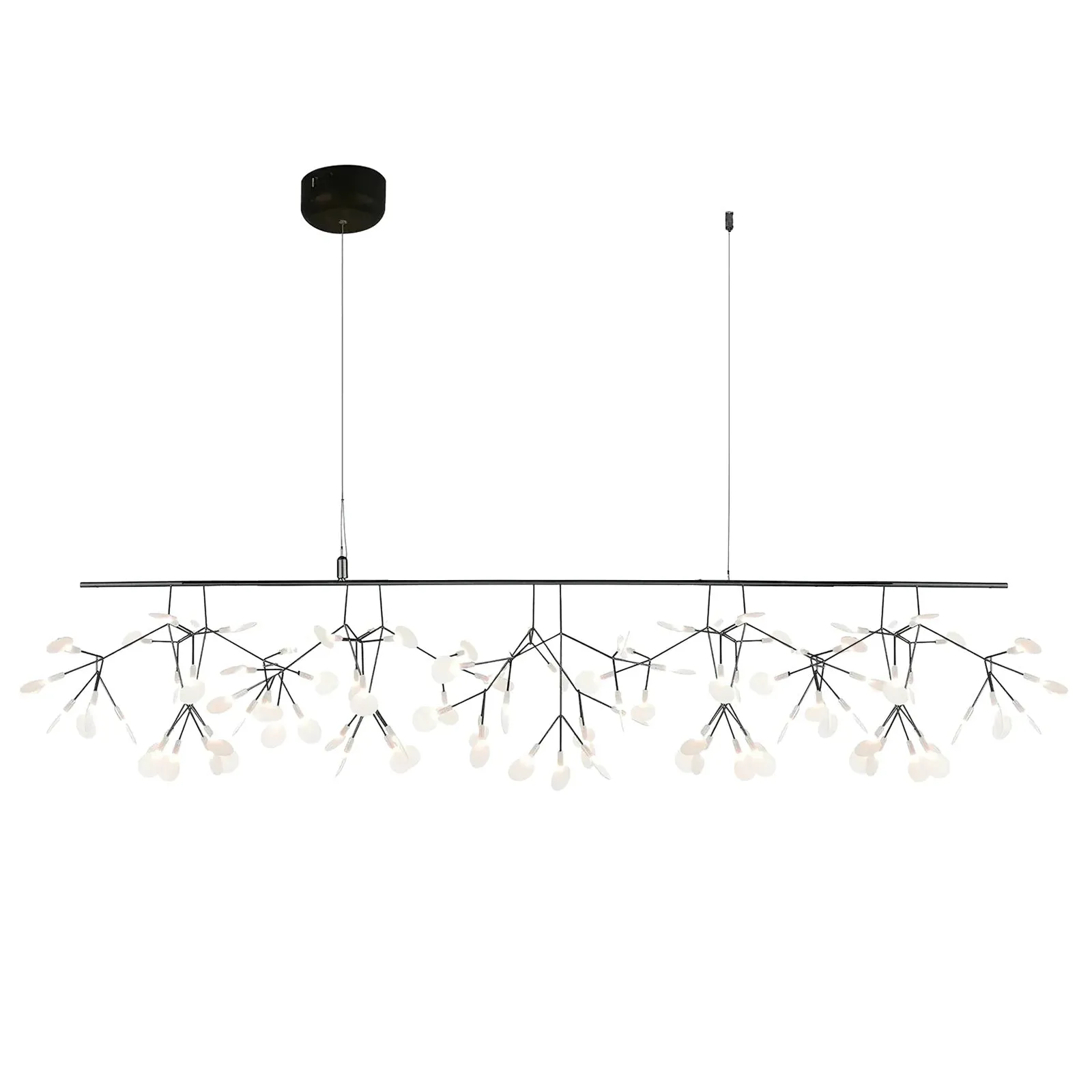 Heracleum Black Chandeliers