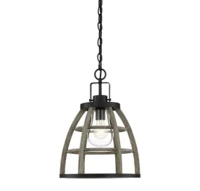 Luisa 1 Light Outdoor Pendant