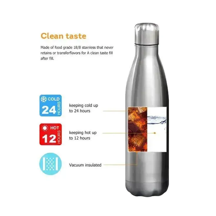 Ocean World Cola Metal Water Bottle (500 ml)