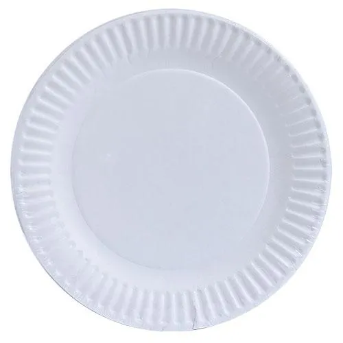 Premium Paper Plate Options: 9inch Plate and 6inch Plate, Count - 20 packs of 60