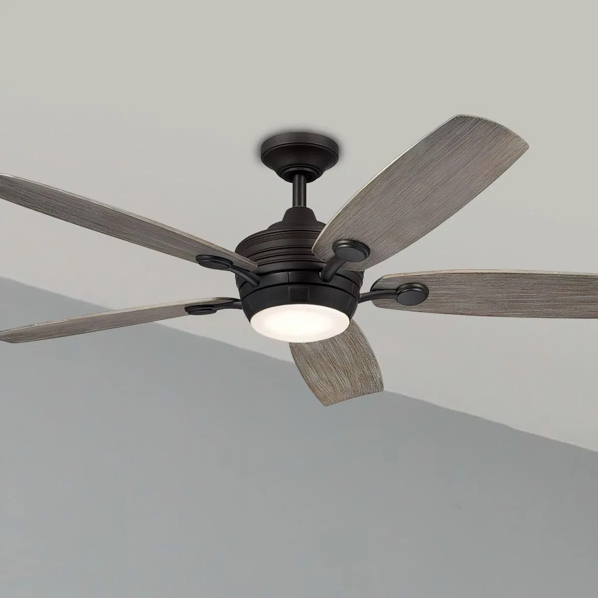 Tranquil 56" LED Ceiling Fan